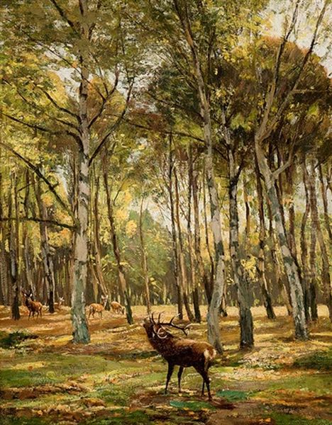 Hirsche Im Wald Oil Painting by Carl Irmer