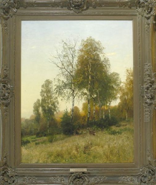 Rehbock Auf Einer Waldlichtung Mit Birken Bei Sonnenuntergang Oil Painting by Carl Irmer