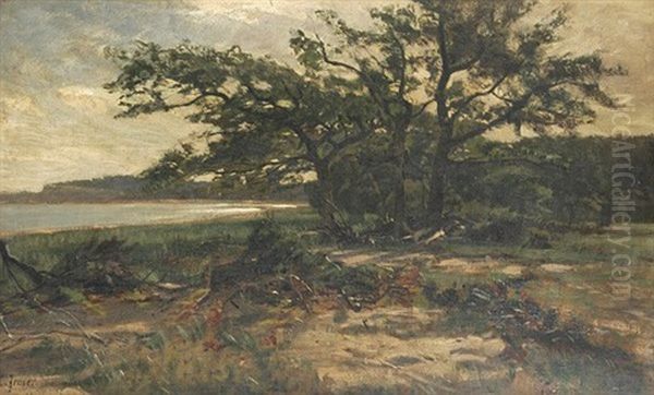 Baumgruppe Mit Auf Dem Boden Liegendem Geast Bei Einem See Oil Painting by Carl Irmer