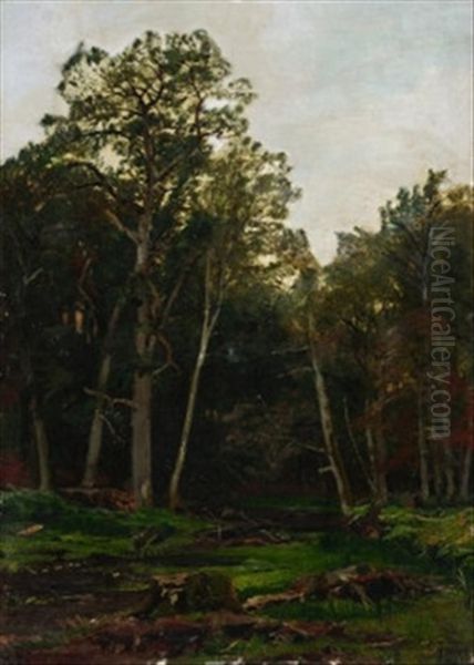 Lichtung Im Sommerlichen Walde Oil Painting by Carl Irmer