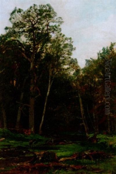 Waldstudie Oil Painting by Carl Irmer