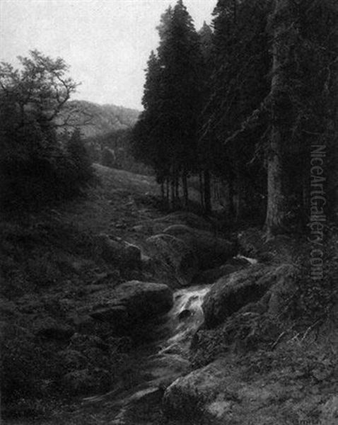 Bachlauf In Einem Waldtal Oil Painting by Carl Irmer