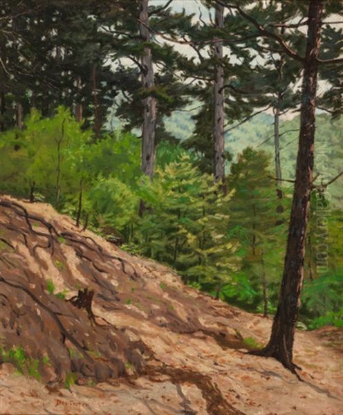 Hillside Pines Oil Painting by Benoni Irwin