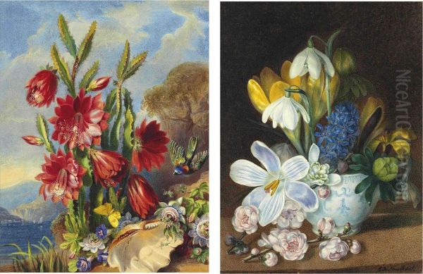 A Bird, Butterfly And A Shell Beside A Flowering Cactus And Passionflowers Oil Painting by Valentine Bartholomew