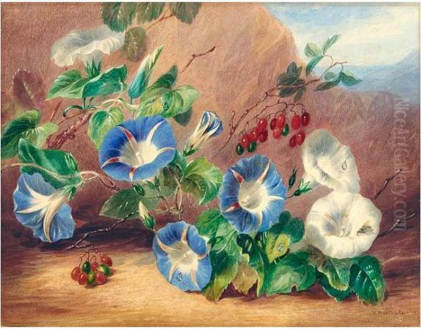 Still Life With Morning Glory (convolvulus) And Berries Oil Painting by Valentine Bartholomew