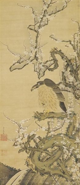 Hawk On A Blossoming Plum Branch Oil Painting by Jakuchu Ito