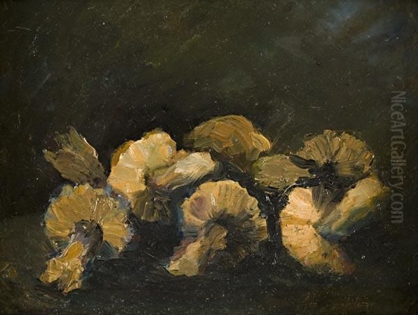 Funghi Oil Painting by Giovanni Bartolena