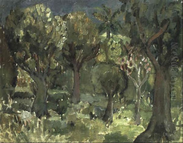 Olivlund - Frankrike Oil Painting by Ivan Ivarson