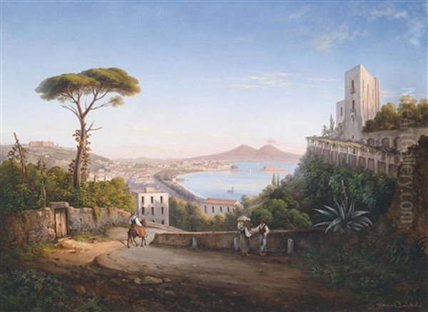 Blick Auf Neapel Mit Dem Vesuv, Von Vomero Aus Gesehen Oil Painting by Henry Jackel