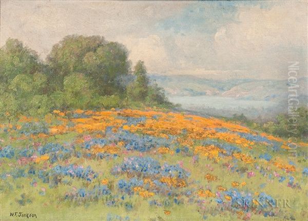 Field Of Poppies And Lupine With View To A Bay Oil Painting by William Franklin Jackson