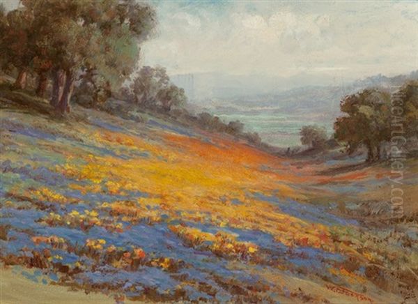 Valley Of Poppies And Lupine Along The Coast Oil Painting by William Franklin Jackson