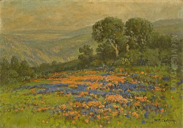 Wildflowers On Rolling Hills Oil Painting by William Franklin Jackson