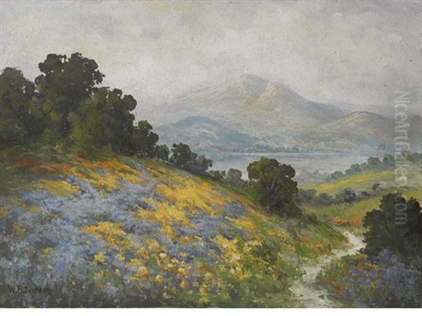 Wildflowers With Mount Tamalpais Beyond Oil Painting by William Franklin Jackson