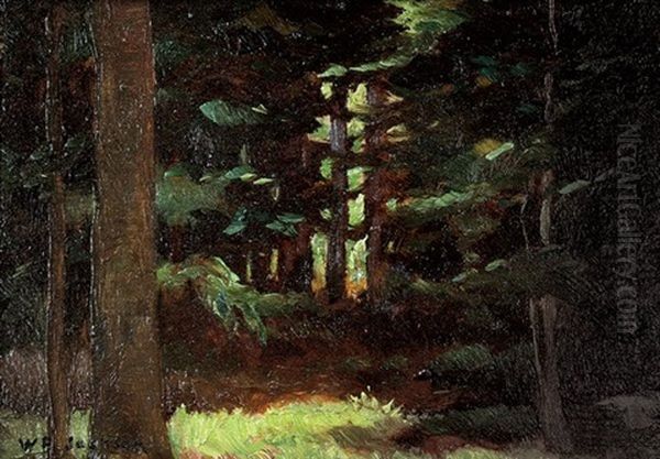 Redwood Grove Oil Painting by William Franklin Jackson