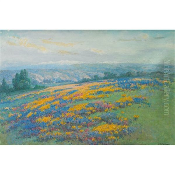 California Field Poppies Oil Painting by William Franklin Jackson