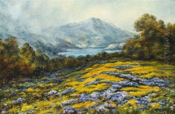 Haydock, Mt. Tamalpais With Poppies And Lupine Oil Painting by William Franklin Jackson