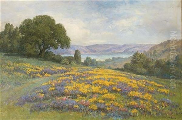 Poppy Field Oil Painting by William Franklin Jackson