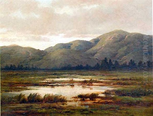 Mountain Landscape With Foreground Marsh Oil Painting by William Franklin Jackson