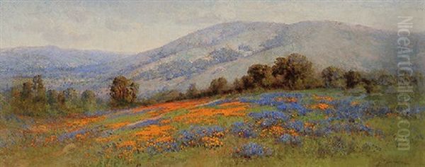 California Poppies Oil Painting by William Franklin Jackson