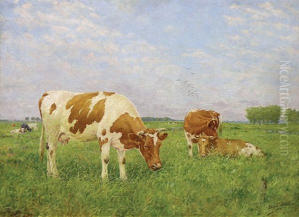 Cows Resting In A Pasture Oil Painting by Adolphe Jacobs