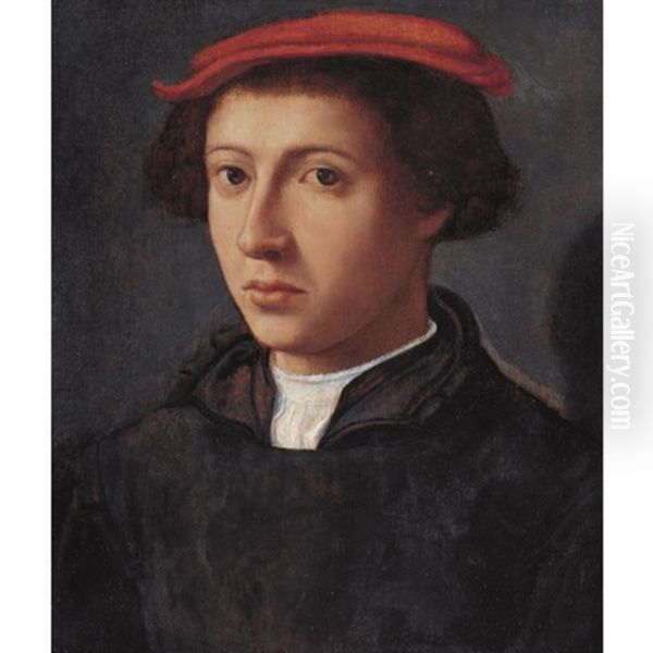 Portrait Of A Young Man, Bust Length Turned Slightly To The Left, Wearing A Red Cap Oil Painting by Dirck Jacobsz