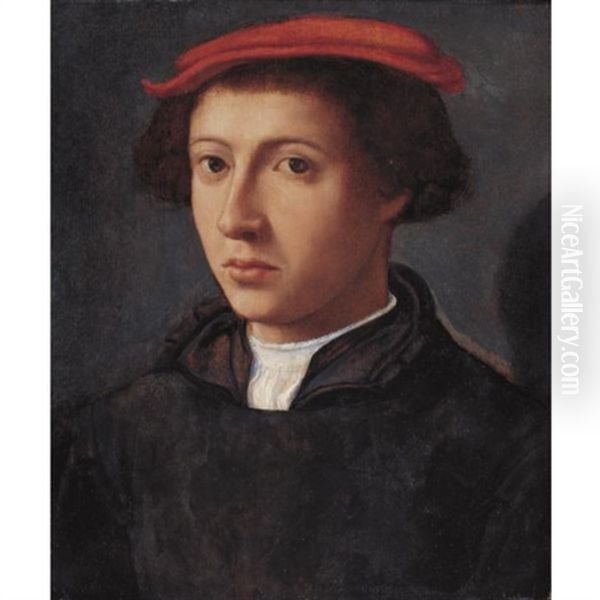 Portrait Of A Young Man, Bust Length, Turned Slightly To The Left, Wearing A Red Cap Oil Painting by Dirck Jacobsz