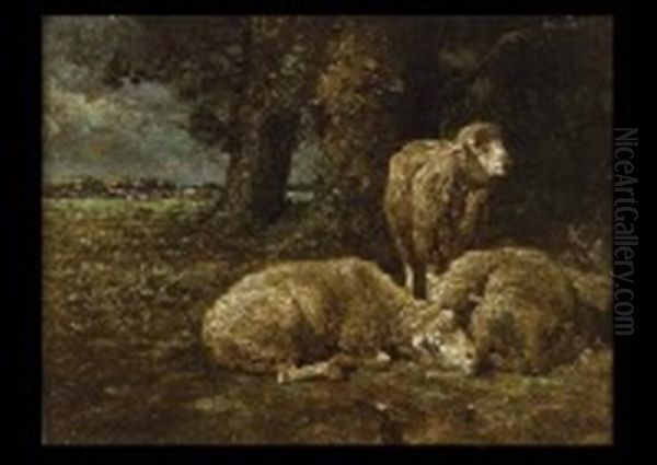 Sheep At Rest Oil Painting by Charles Emile Jacque