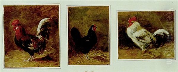 Coq Oil Painting by Charles Emile Jacque