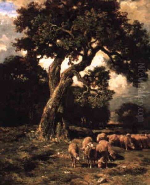 Sheep Grazing Beneath An Old Tree Oil Painting by Charles Emile Jacque