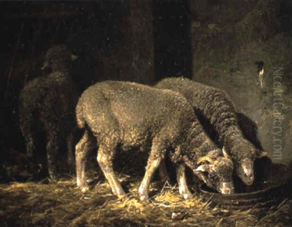 Moutons A La Bergerie Oil Painting by Charles Emile Jacque