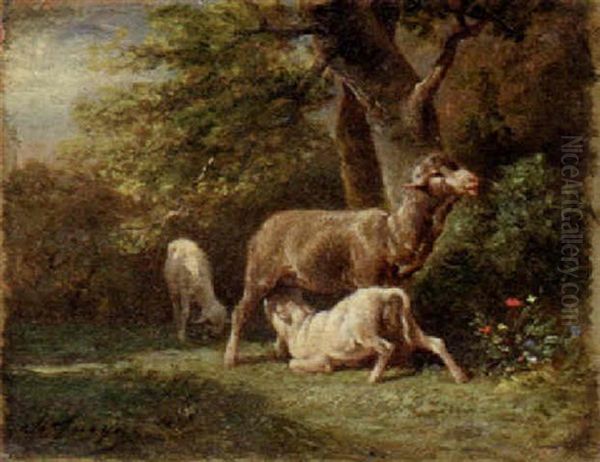 Sheep Attending Her Young Oil Painting by Emile Jacque