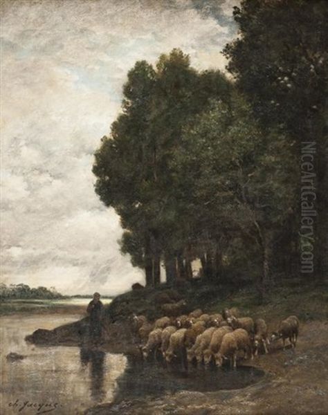 Moutons Au Bord De La Riviere Oil Painting by Charles Jacques