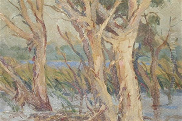 Paper Barks At Bibra Lake Oil Painting by Lionel Jago