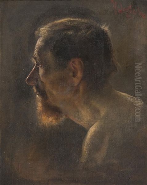 Study Of A Man