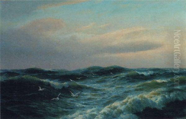 Seagulls Near The Shore Oil Painting by David James