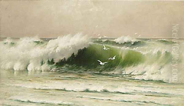 Seascape With Seagulls by David James