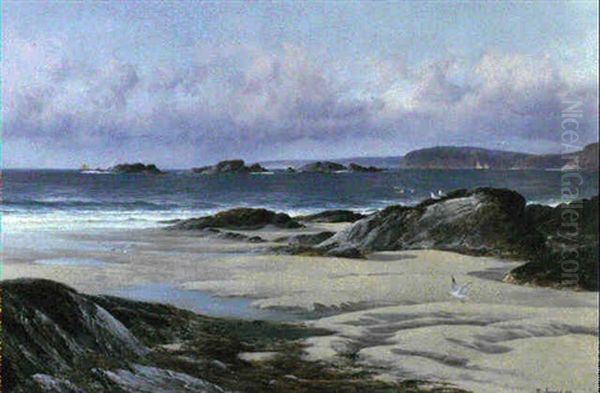 Low Tide Oil Painting by David James