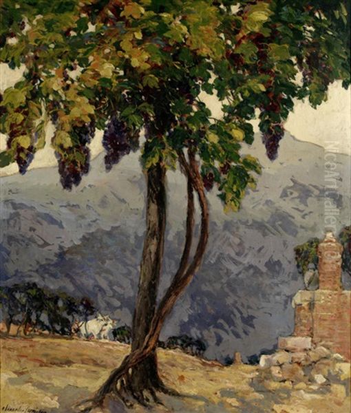 The Old Vine, San Gimigniano, Italy Oil Painting by Alexander Jamieson