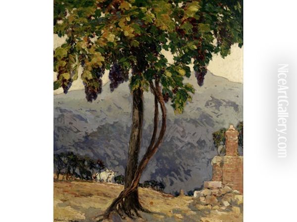 The Old Vine, San Giminiano, Italy Oil Painting by Alexander Jamieson