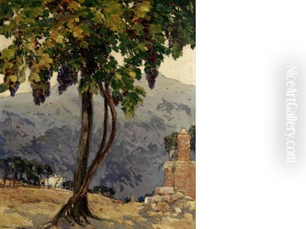 The Old Vine, San Giminiano, Italy Oil Painting by Alexander Jamieson