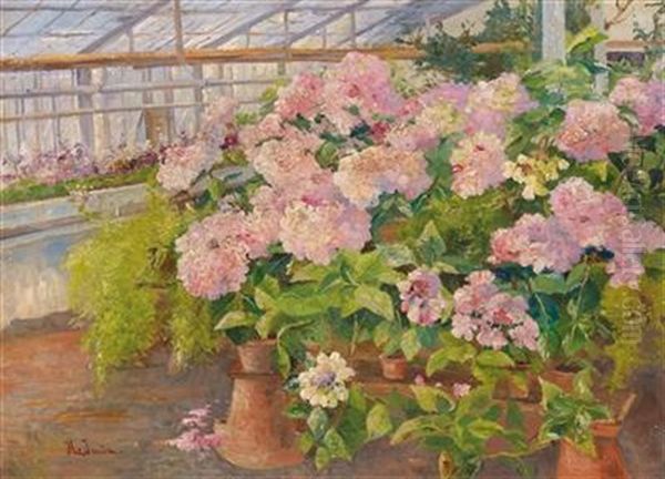 Hortensias In The ... Greenhouse Oil Painting by Hermine Von Janda