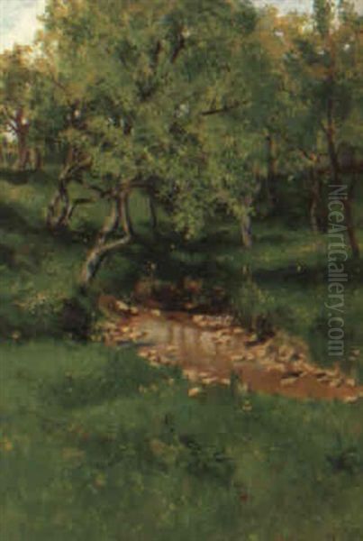 Baumlandschaft Mit Kleinem Tumpel Oil Painting by Hermine Von Janda