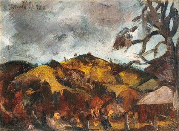 Hills Of Baia Mare Oil Painting by David Jandi