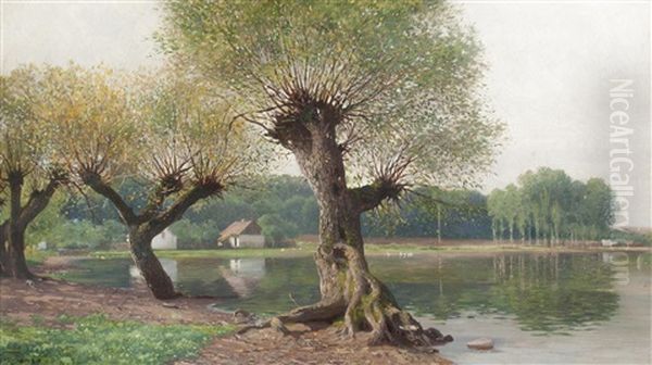 Willows By A Pond Oil Painting by Vaclav Jansa