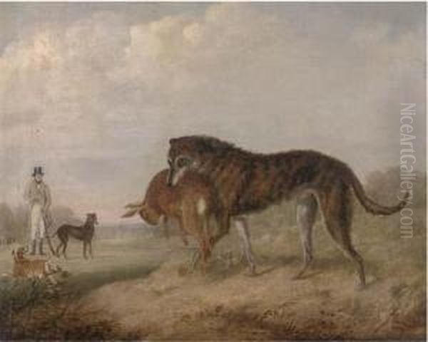 Sir Thomas Aston With His Greyhounds Vixen, Crown Prince Oil Painting by John Barwick