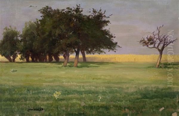 Open Field With Trees Oil Painting by Mathurin Janssaud