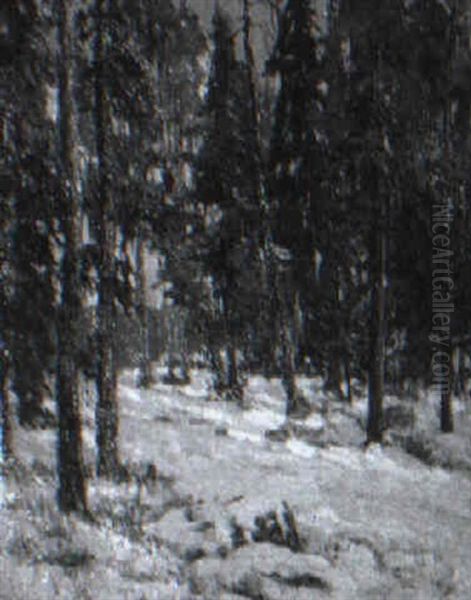 Winter Pine Forest Oil Painting by Alfred Jansson