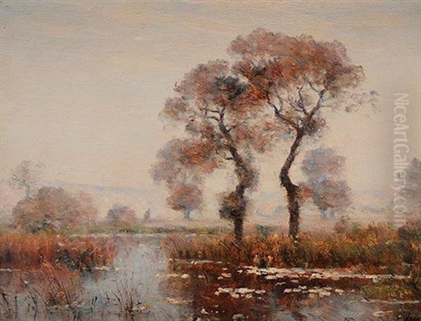 Paysage De Marais Oil Painting by Louis Aime Japy