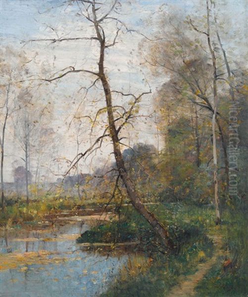 Auenlandschaft Im Fruhling Oil Painting by Louis Aime Japy