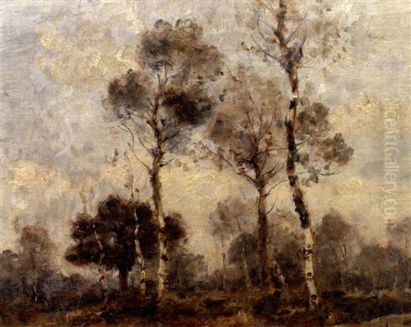 Paysage Forestier Au Bouleaux Oil Painting by Louis Aime Japy